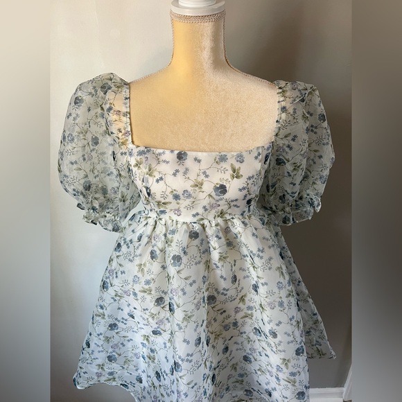 NWT Audrey Parks x Francesca’s Asha Floral Chiffon Babydoll Mini Dress Size S - Picture 4 of 14